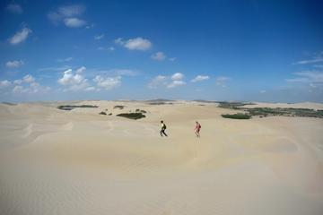 Pisco Discovery Tour: Wine and Waters Along Sand Dunes