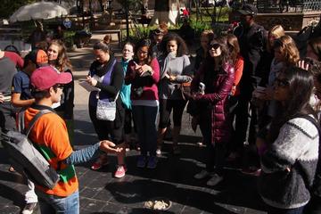 Sucre Walking Tour: Immerse Yourself in This Colonial City