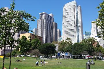 Outdoor Trivia Race in San Francisco
