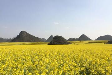 Yunnan Photography Adventure