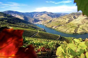Authentic Douro Wine Tour Including Lunch