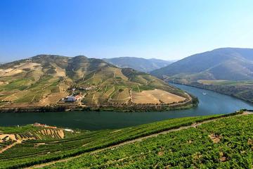 Supreme Douro Valley Small Group Wine Tour Including Tastings and Lunch