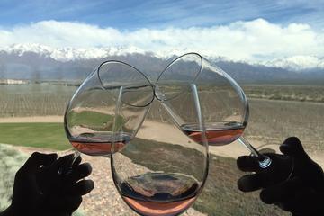 Private Tour: Lujan de Cuyo Wine Region from Mendoza