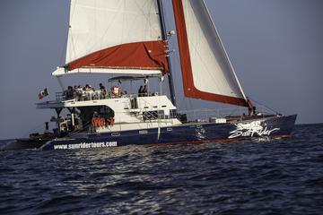 Los Cabos Snorkel Dinner Cruise with Open Bar