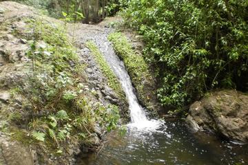 Gran Canaria Valley of Azuaje Guided Trek