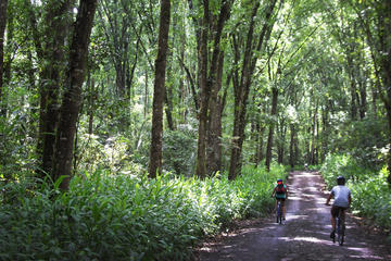 2-Day Biking and Hiking Tour in the Coffee Region from Pereira