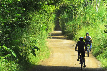 Pereira Full Day Bike Tour: Local Means of Transport Route