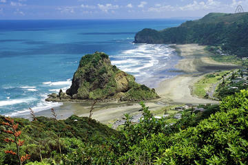 Full-Day Piha and Waitakere Ecotour Including Lunch from Auckland