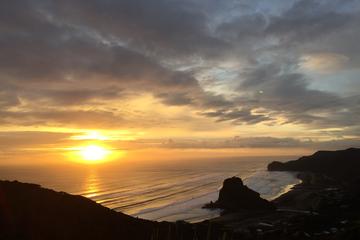 Private Tour: Full-Day Piha and Waitakere Eco-Tour Including Lunch from Auckland