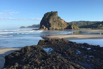 Private Tour: Piha and Waitakere Eco-Tour with Surf Lesson from Auckland