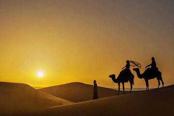 Desert adventure 2 nights-3 days  in small group