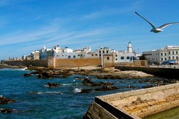 Essaouira Highlights: Small-Group Day Tour from Marrakech