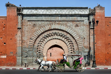Marrakech  must see places with  expert guide