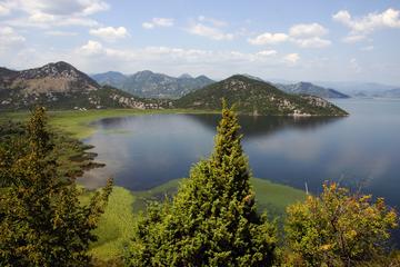 Day tour to Skadar Lake from Kotor Port