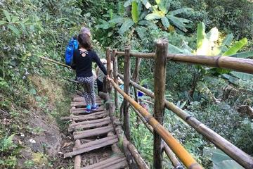 Doi Inthanon Private Tour with Trek, Lunch from Chiang Mai