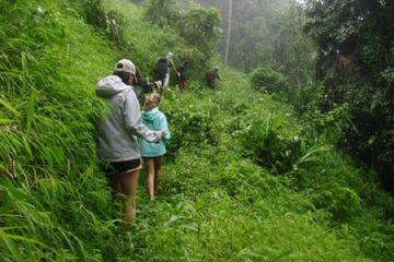 Hiking and Zipline Private Tour from Chiang with Karen Village