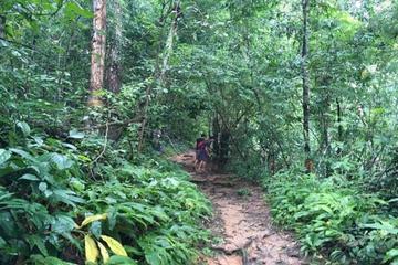 Trekking at the Monk Trail   Hidden Temple ( Pha Lat Temple )  Doi Suthep Temple