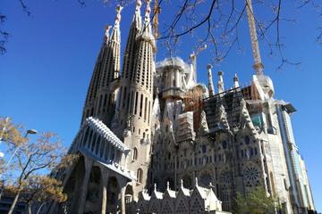 Outdoor walking tour of Sagrada Familia and Gothic Quarter