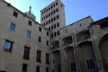 Picasso Museum and Gothic Quarter small group Tour