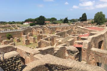 Private Walking Tour of Ancient Ostia