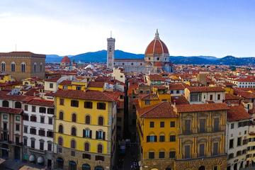 Safari Tour Of Florence For Kids