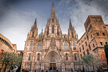 Sagrada Familia and Gothic Quarter Small Group