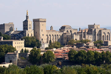 Full Day Avignon Private Tour of Pope's Palace and Chateauneuf du Pape from Nice