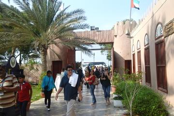 Abu Dhabi Private Tour per group
