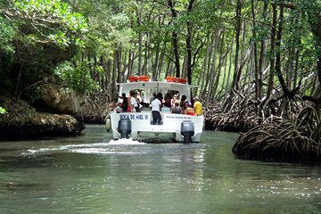 Punta Cana Day Trip to Los Haitises National Park