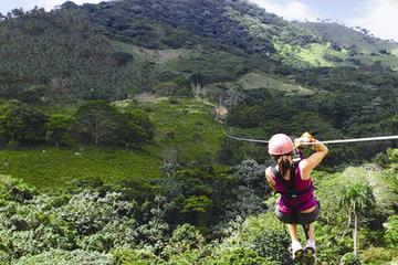 Punta Cana Safari Tour with Zipline or Buggy Combo