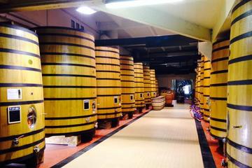 Cotes du Rhone Tour with Wine and Chocolate Tasting