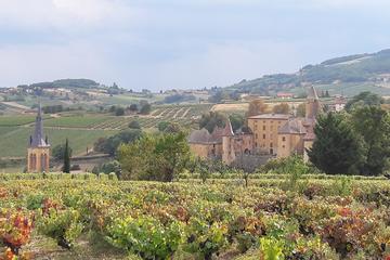 Full Day Beaujolais Private Tour