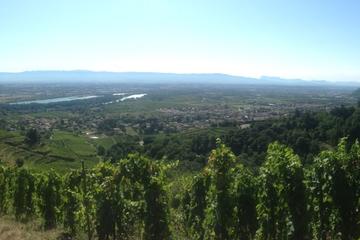 Half-Day Vienne Cote Rotie Wine Tour with Tasting from Lyon