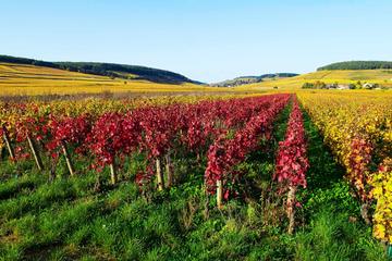 Private Castles of Burgundy Tour with Wine Tasting from Lyon