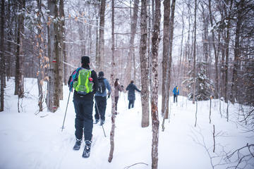 Quebec Ski-Shoeing Excursion