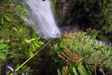 Canyoning Trip in Madeira - 5 days - all inclusive