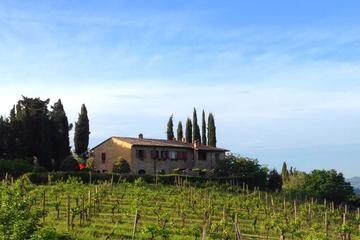 Private San Gimignano Winery Tour with Wine and Olive Oil Tasting