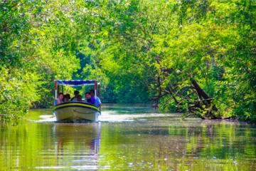 Tres Palos Lagoon Tour Including Beach Club Break and Lunch
