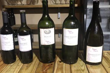 Wine Blending Class with Wine Tasting and Chocolate Factory Tour