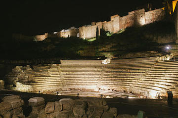 Small Group Málaga Night Tour