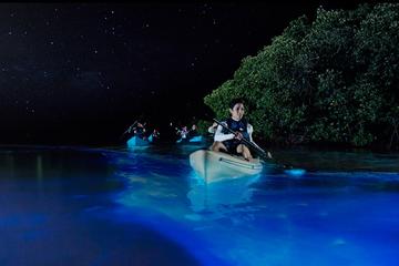 Bioluminescence Comb Jelly Kayaking Tour