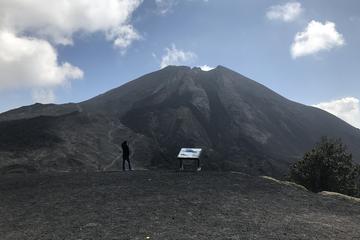 Pacaya Volcano Tour from Guatemala City