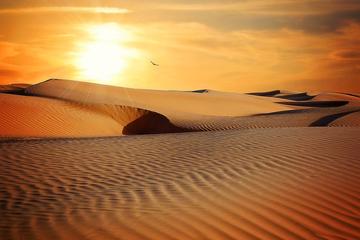 Sunrise in the Dubai Desert