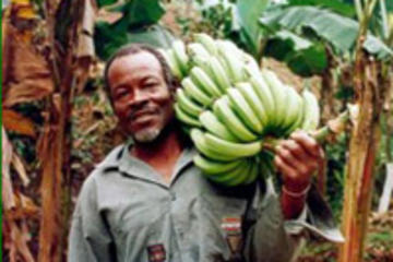 John's Hall Montego Bay Adventure Tour