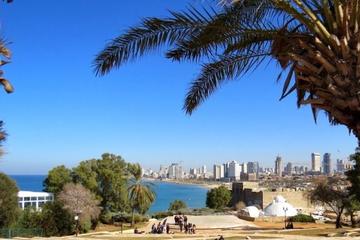 Day Walking Tour: Tel Aviv Old and New Including the German Colony
