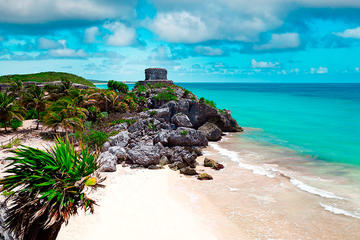 4X1 (4TOURS FOR 1 PRICE) TULUM, COBÁ, CENOTE SWIM AND PLAYA DEL CARMEN
