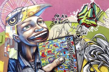 Street Art Walking Tour Tijuca Neighborhood
