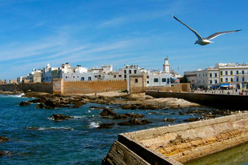 Full-Day Group Tour to Essaouira from Marrakech