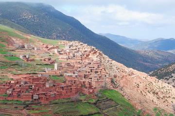 Full-Day Private Tour to Ourika Valley from Marrakech