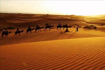 Sahara Desert Merzouga 3-Day from Marrakech